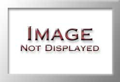 NEW_FZBT1616-CO-WH-WH